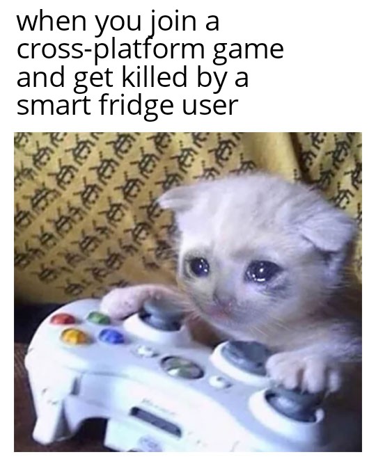 cat play controller crying